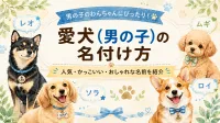 犬の名前｜オスの名づけ　かっこいい・人気の二文字・三文字を紹介