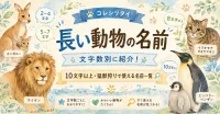 長い動物の名前を文字数別に紹介！10文字以上や猛獣狩りで使える名前一覧