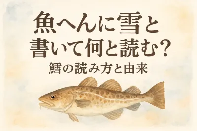 魚 へん に 雪 と 書い て 何と 読む？鱈の読み方と由来